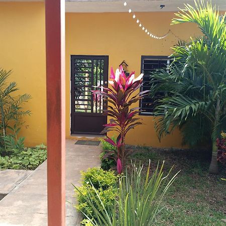 Casa Flores Bacalar Luaran gambar